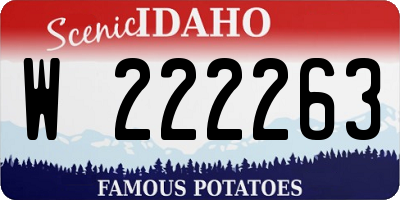 ID license plate W222263