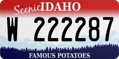 ID license plate W222287