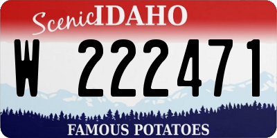 ID license plate W222471