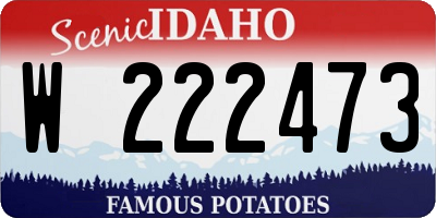 ID license plate W222473