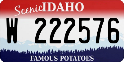 ID license plate W222576