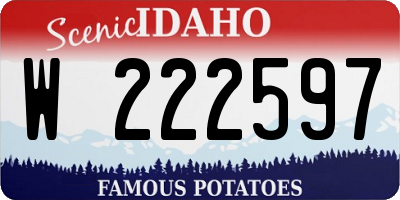 ID license plate W222597