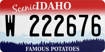 ID license plate W222676