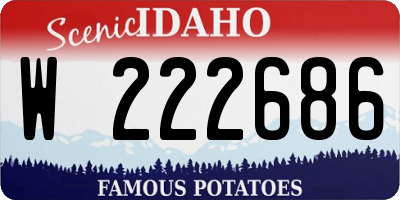 ID license plate W222686