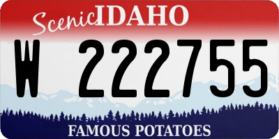 ID license plate W222755