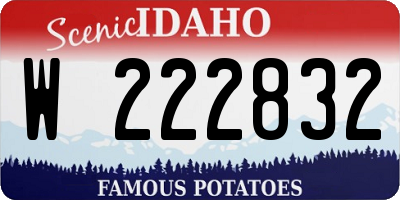 ID license plate W222832