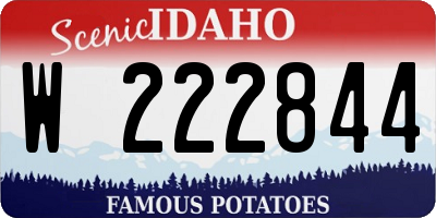 ID license plate W222844