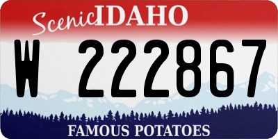ID license plate W222867