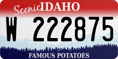 ID license plate W222875