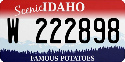 ID license plate W222898