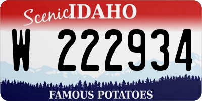 ID license plate W222934