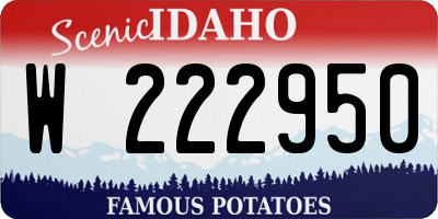 ID license plate W222950