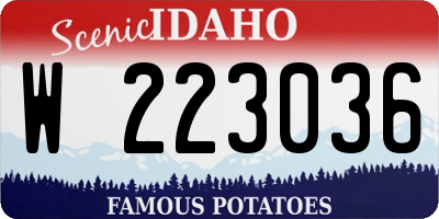ID license plate W223036