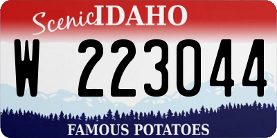 ID license plate W223044