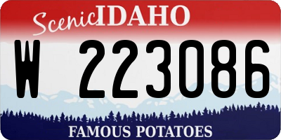 ID license plate W223086