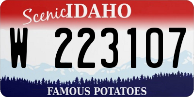 ID license plate W223107