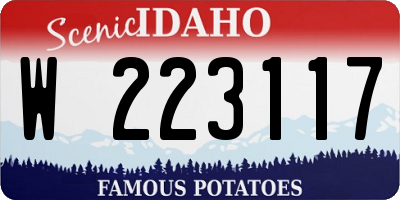 ID license plate W223117