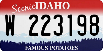 ID license plate W223198