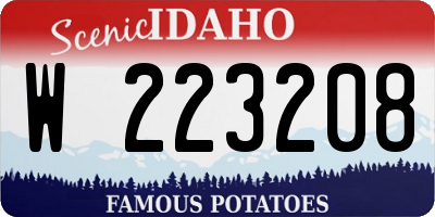 ID license plate W223208