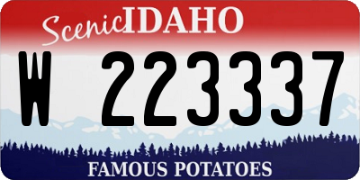 ID license plate W223337