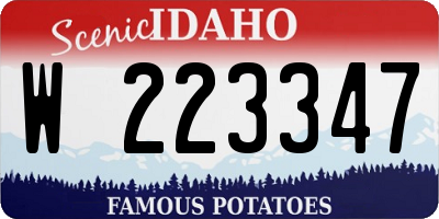 ID license plate W223347