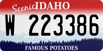 ID license plate W223386