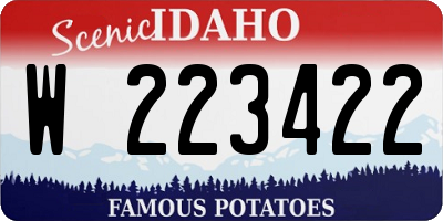 ID license plate W223422
