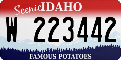 ID license plate W223442