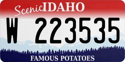 ID license plate W223535