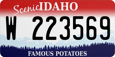 ID license plate W223569