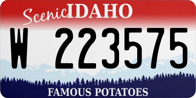 ID license plate W223575