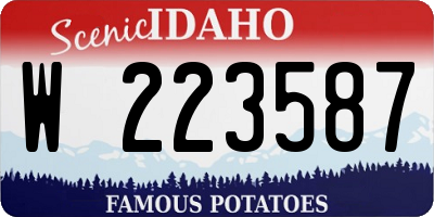 ID license plate W223587