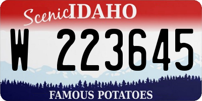 ID license plate W223645