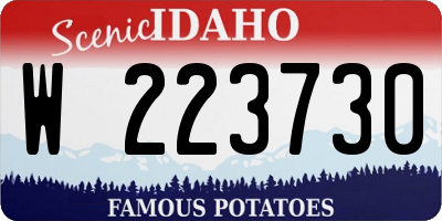 ID license plate W223730