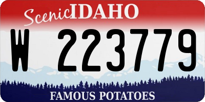 ID license plate W223779