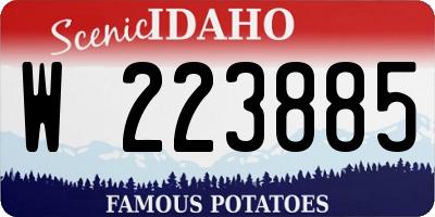 ID license plate W223885