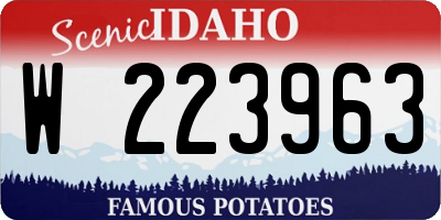 ID license plate W223963