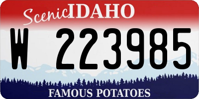 ID license plate W223985
