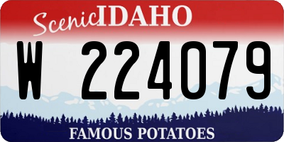 ID license plate W224079