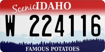 ID license plate W224116