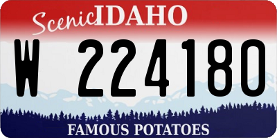 ID license plate W224180