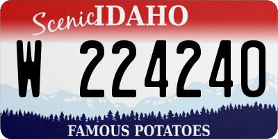 ID license plate W224240