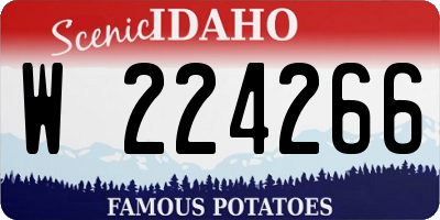 ID license plate W224266