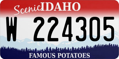 ID license plate W224305