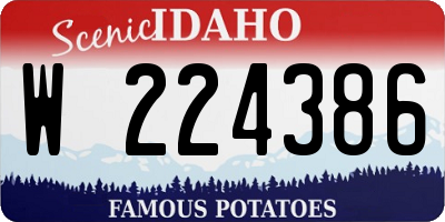 ID license plate W224386