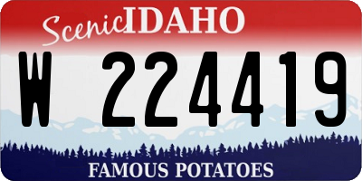 ID license plate W224419