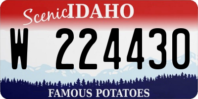 ID license plate W224430