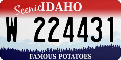 ID license plate W224431