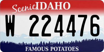 ID license plate W224476