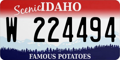 ID license plate W224494